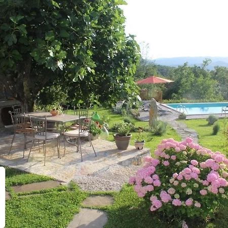 Villa Mavrici, Neighbors Free Buzet Extérieur photo